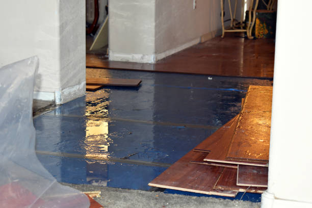 Professional Water Damage Restoration technician working in Lakeview, CA